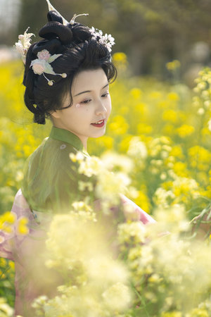 大卫王与贵妃